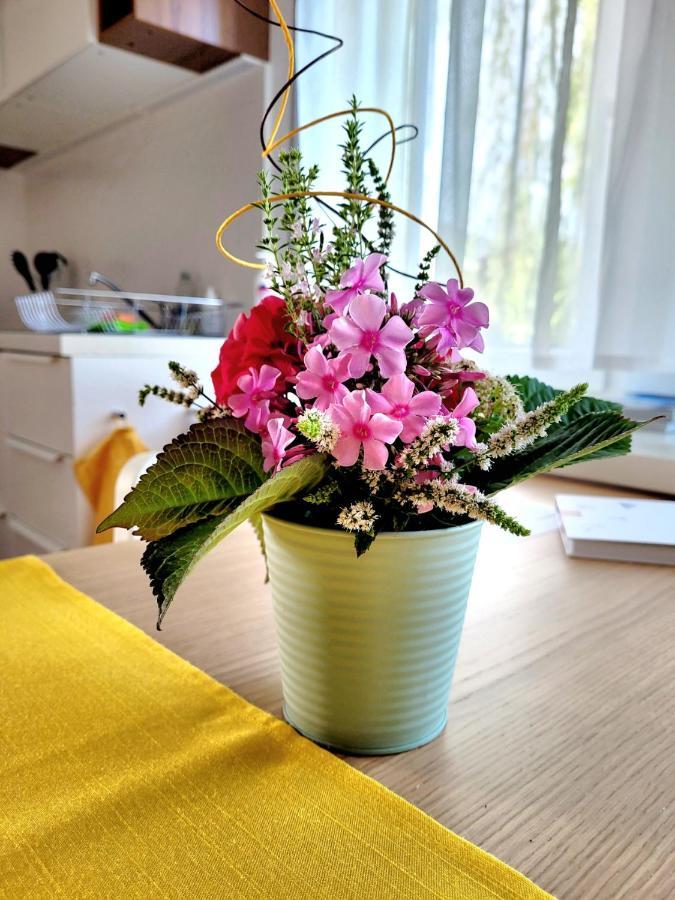 Apartment Sonnenschein دورنبيرن المظهر الخارجي الصورة